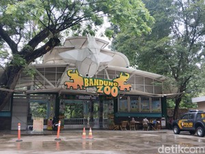 Pengelola Bandung Zoo Diumumkan Bulan Depan