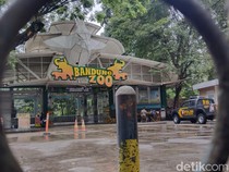 Bandung Zoo Merugi Rp 2,7 M Akibat Tutup Saat Momen Liburan
