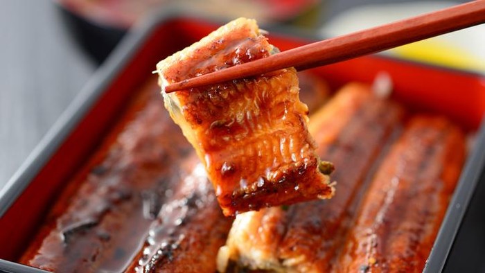Unagi adalah sidat