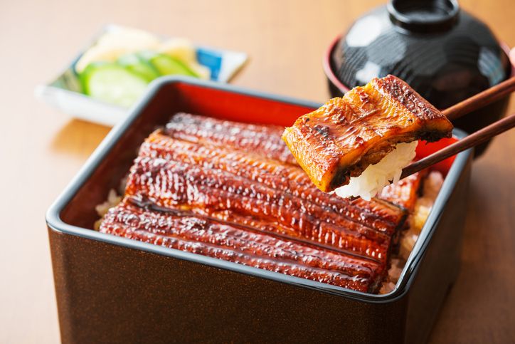 Unagi adalah sidat