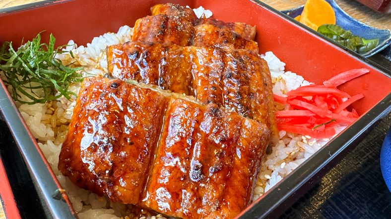 Unagi adalah sidat