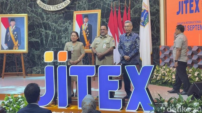 Wakil Gubernur DKI Jakarta Rano Karno. (Brigitta/detikcom)