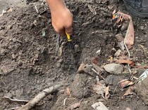 Video: Duh! Trotoar di Depok Muncul Asap-Bau Belerang