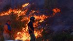 Warga Turki Berjuang Padamkan Kebakaran Hutan di Canakkale