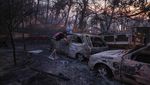 Warga Turki Berjuang Padamkan Kebakaran Hutan di Canakkale
