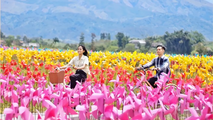 Cepogo Cheese Park Boyolali, tempat wisata di Boyoyali yang lagi hits dan populer