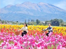 11 Tempat Wisata di Boyolali yang Lagi Hits dan Paling Populer