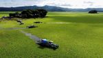 Gulma Air Serbu Waduk Terbesar El Salvador, Ancam Listrik dan Ekosistem