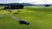 Warga menggunakan ekskavator untuk mengangkat selada air yang menutupi permukaan waduk. Foto: REUTERS/Jose Cabezas