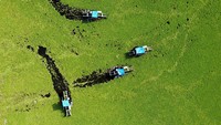 Tampilan drone menunjukkan perahu-perahu yang dilengkapi peralatan untuk membersihkan, sedang bekerja di waduk El Cerron Grande, yang tertutup selada air (Pistia stratiotes) akibat polusi, di Suchitoto, El Salvador, 12 Agustus 2025. Foto: REUTERS/Jose Cabezas