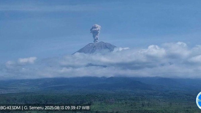 Gunung Semeru erupsi dengan tinggi letusan 1.000 meter di aas puncak pada Rabu (13/8/2025) pagi. (ANTARA/HO-PVMBG)
