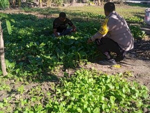 Kisah Bripka Marchel Serahkan Lahan Pertanian untuk Digarap 5 Warga