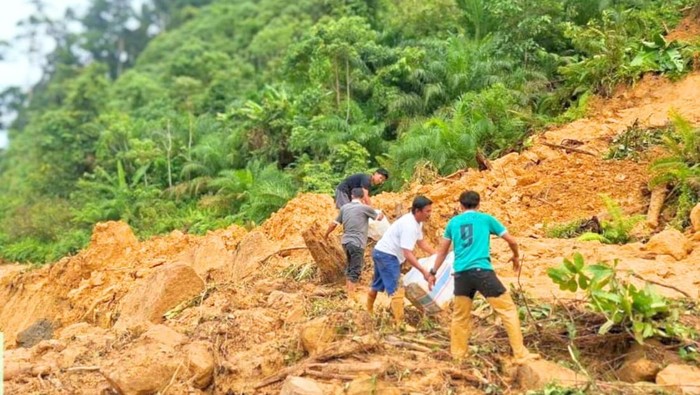 Longsor timbun Jalan Trans Kaltara.