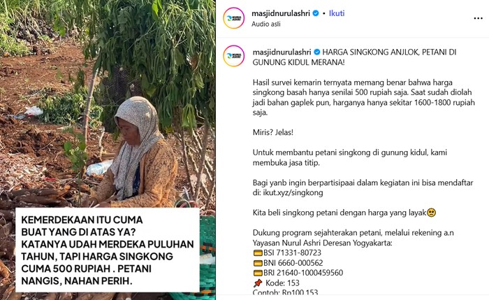 Masjid Nurul Ashri Jogja Borong 15 Ton Singkong
