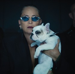 Nge-direct Sharon Stone, Timo Tjahjanto: Emak-emak Seru