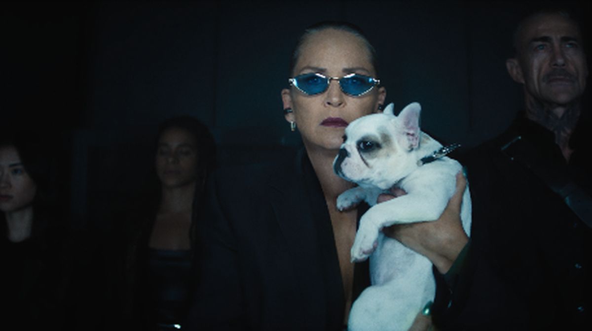 Erim va dildo bilan jinsiy aloqa Boss xotini bilan jinsiy aloqa video