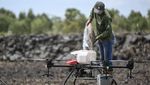 Keren, Petani di Kalsel Tanam Padi Gunakan Drone