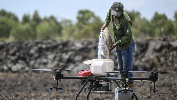 Pekerja menuangkan benih padi di drone untuk ditebar saat tanam perdana di lokasi cetak sawah rakyat (CSR) di kawasan Bati-Bati, Tanah Laut, Kalimantan Selatan, Selasa (12/8/2025). Penanaman padi menggunakan teknologi modern di lokasi cetak sawah rakyat itu guna mempercepat program swasembada pangan nasional. ANTARA FOTO/Hafidz Mubarak A/YU