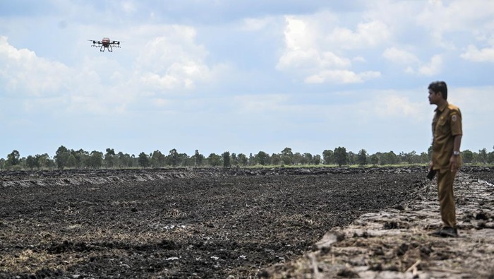 Pekerja menuangkan benih padi di drone untuk ditebar saat tanam perdana di lokasi cetak sawah rakyat (CSR) di kawasan Bati-Bati, Tanah Laut, Kalimantan Selatan, Selasa (12/8/2025). Penanaman padi menggunakan teknologi modern di lokasi cetak sawah rakyat itu guna mempercepat program swasembada pangan nasional. ANTARA FOTO/Hafidz Mubarak A/YU