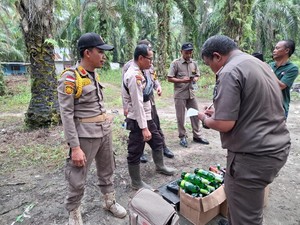 Polres Pelalawan Gerebek Kafe Remang-remang di Kebun Sawit, Miras Disita