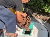 3 Cara Mudah Mengolah Sampah Organik di Rumah