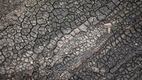 Tanah gersang di sekitar waduk menjadi tanda nyata krisis air di Inggris. Enam wilayah lainnya mengalami kemarau berkepanjangan meski belum berstatus darurat. Foto: REUTERS/Phil Noble