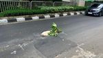Awas! Ada Lubang di Jalan Kapten Tendean