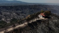 Sebuah gereja berwarna putih berdiri utuh di tengah hamparan lahan hangus usai kebakaran hutan di Kaminia, dekat Patras, Yunani, Rabu (13/8/2025). Dari udara, bangunan itu tampak mencolok di antara pepohonan dan semak belukar yang berubah menjadi hitam legam. (REUTERS/Louiza Vradi)  