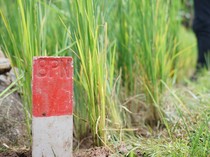 Jangan Lupa Pasang Patok Kalau Nggak Mau Tanah Dicaplok Tetangga