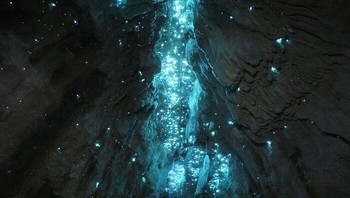 Kategori Alam oleh Navaneeth Unnikrishnan. Di bawah bumi terbentang alam bercahaya, tempat Cacing Pendar Bioluminesensi menciptakan tontonan bak galaksi. Gambar ini menangkap kekaguman penjelajahan, memadukan cahaya lembut dengan tekstur gua, menonjolkan keindahan alam yang rapuh dan tak terduga dalam momen keajaiban yang hening. Foto: Refocus Awards