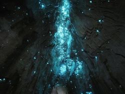 Karya Foto Berwarna Jawara Refocus Awards 2025 Bikin Terpana