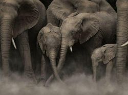 Karya Foto Berwarna Jawara Refocus Awards 2025 Bikin Terpana