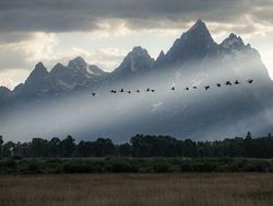 Karya Foto Berwarna Jawara Refocus Awards 2025 Bikin Terpana
