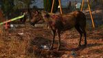 Kebakaran Hutan Serentak Terjang Negara-negara Eropa