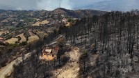 Foto udara memperlihatkan vegetasi hangus dilalap api di Skenderbegas, Albania, Rabu (13/8/2025). Perubahan iklim memperburuk situasi dengan meningkatkan suhu rata-rata dan memperpanjang musim kebakaran. REUTERS/Fatos Bytyci