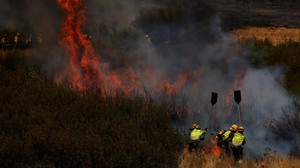 Kebakaran Hutan Landa Wisata Turki, 3 Desa Langsung Dievakuasi