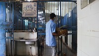 Pemindahan anjing liar diperkirakan memakan waktu dan infrastruktur besar. Foto: REUTERS/Bhawika Chhabra