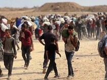 Pemuda Palestina Tewas Ditembak Militer Israel di Tepi Barat