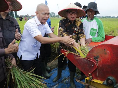 Mendes Yandri ikut dalam Panen Raya dan Tanam Bersama di Desa Tempuran, Kecamatan Trimurjo, Kabupaten Lampung Tengah, Provinsi Lampung, Kamis (14/8/2025).