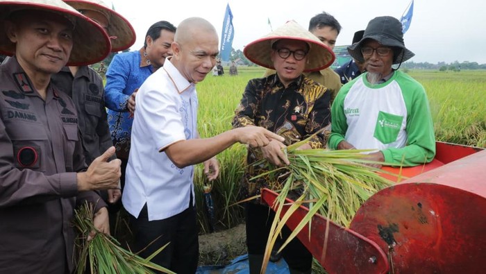 Mendes Yandri melakukan melakukan Panen Raya dan Tanam Bersama di Lampung Tengah