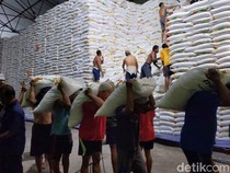 BUMN Serap 40 Ribu Ton Gula Petani, Disokong Rp 1,5 T dari Danantara