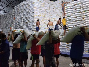 BUMN Serap 40 Ribu Ton Gula Petani, Disokong Rp 1,5 T dari Danantara