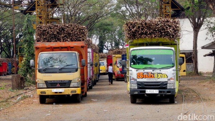 Penyerapan Gula Petani di PG Mojopanggung Tulungagung Terdongkrak UMKM Lokal