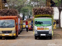 BUMN Pangan Beli 121 Ribu Ton Gula Petani, Telan Dana Rp 1,75 T