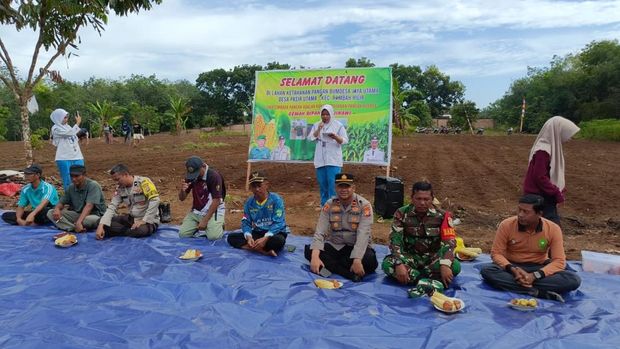 Polisi dan Mahasiswa KKN menanam jagung di Rokan Hulu, Riau.