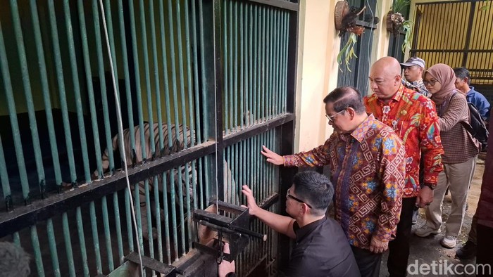 Pramono meninjau Taman Margasatwa Ragunan, Jaksel. (Brigitta/detikcom)