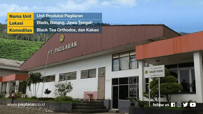 PT Pagilaran
