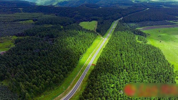 Saihanba di Chengde, Hebei, kini jadi hutan buatan terbesar dunia seluas 76.700 hektare, dengan 82% tutupan hijau hasil puluhan tahun penghijauan. (Instagram/chinaembassy_indonesia)