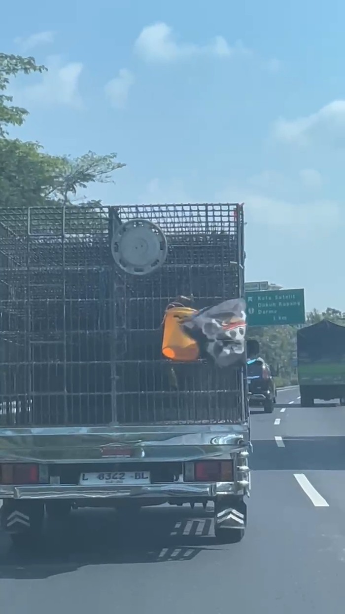 Truk di Tol Jatim Kibarkan Bendera One Piece, Bikin Pengendara Kaget