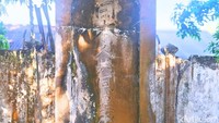 Tulisan Kanji di Tugu Perabuan Jepang. Berdasarkan data sensus Belanda tahun 1936, setidaknya ada 10 kepala keluarga Jepang yang tinggal di Tarakan. Mereka berprofesi sebagai pekerja non-pemerintahan.